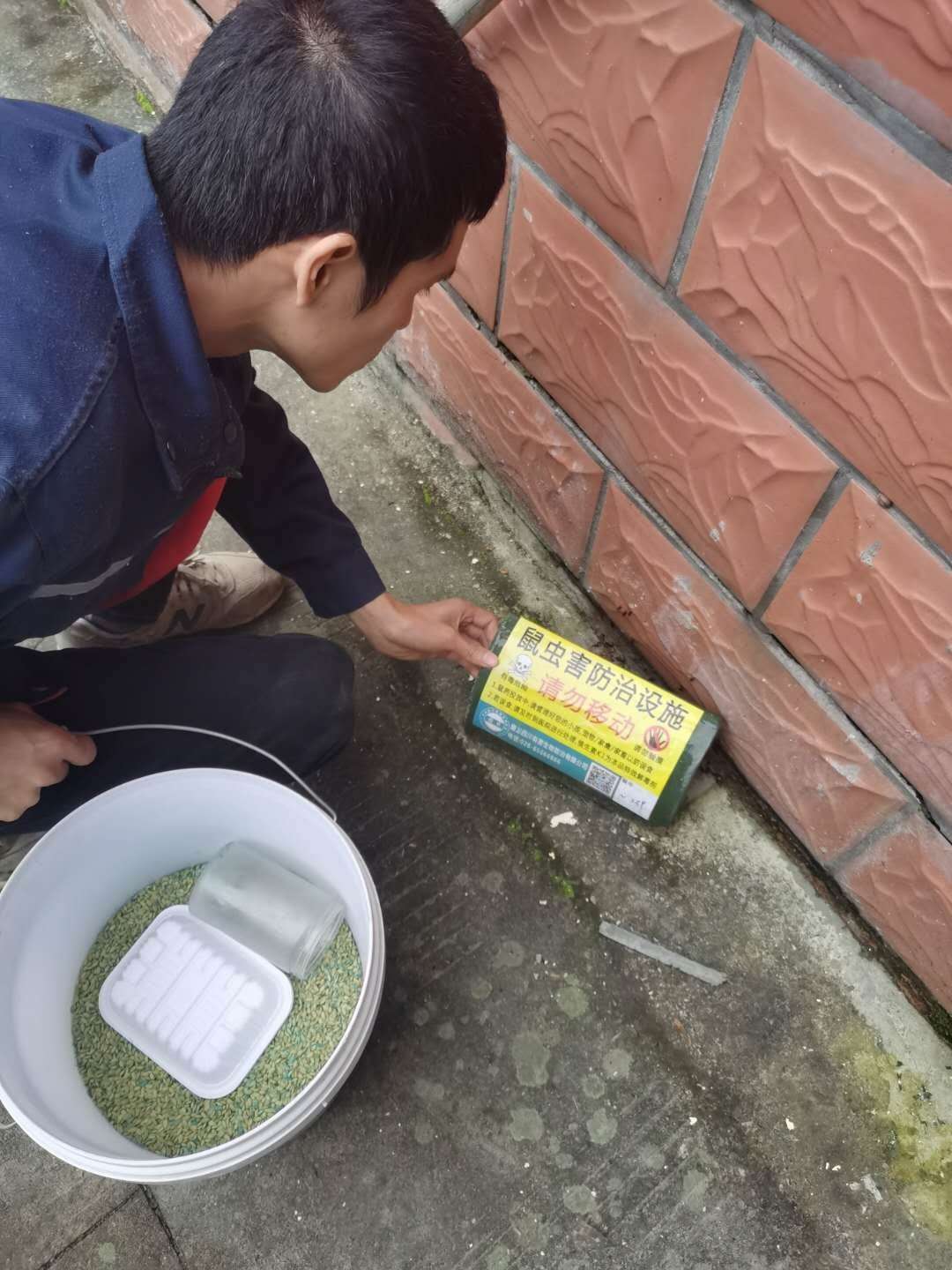 绵阳除四害